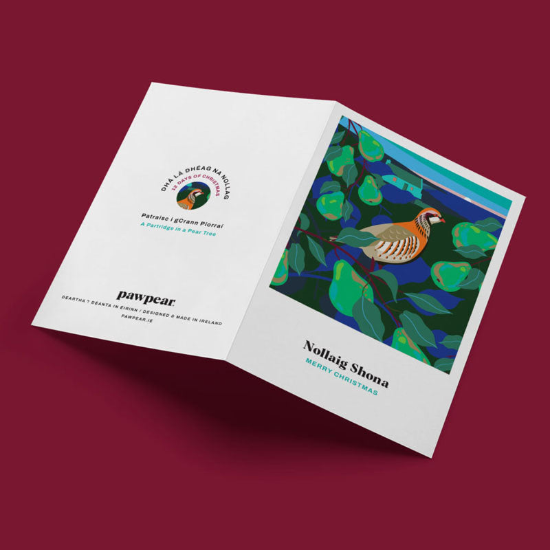 12 DAYS OF CHRISTMAS