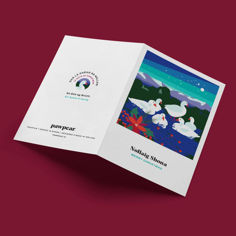 12 DAYS OF CHRISTMAS