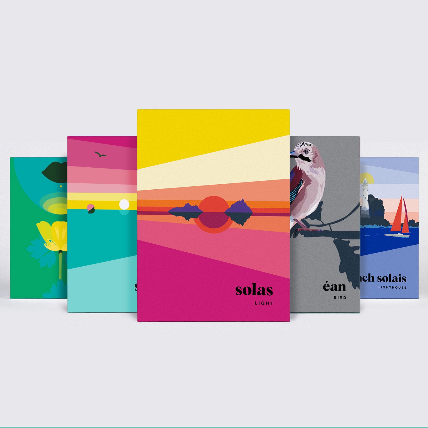 THE BESTSELLERS BOXSET