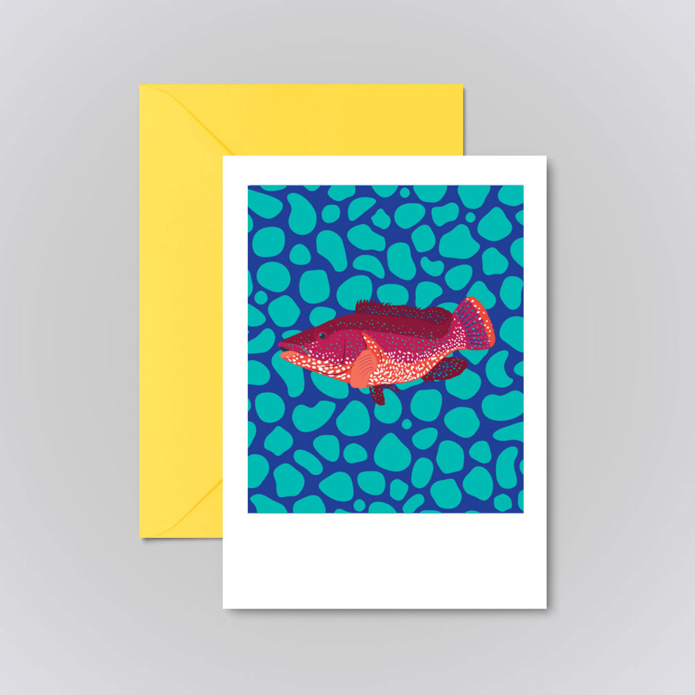 BALLAN WRASSE