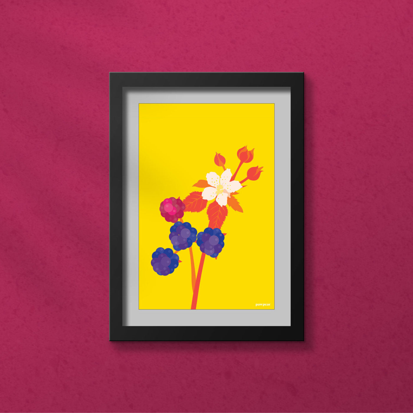 BLACKBERRIES – A4 Print