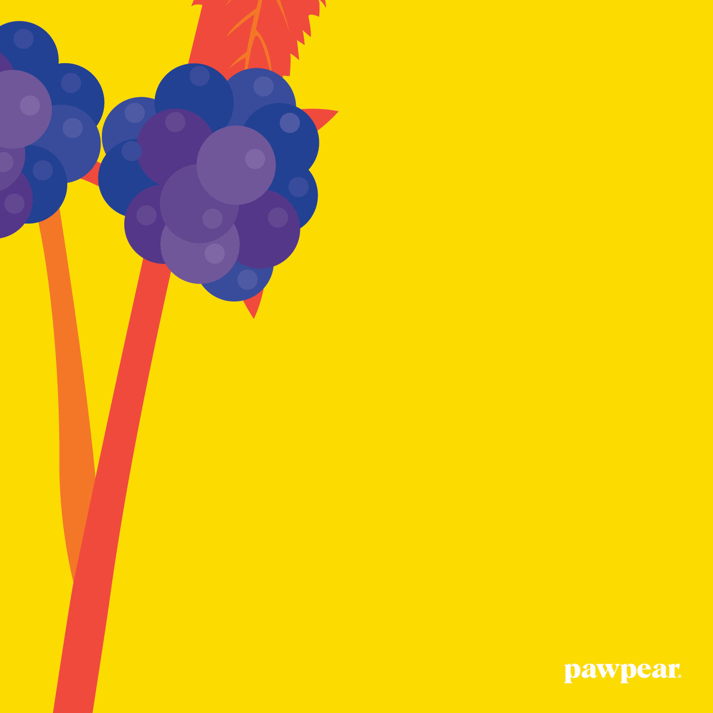 BLACKBERRIES – A4 Print