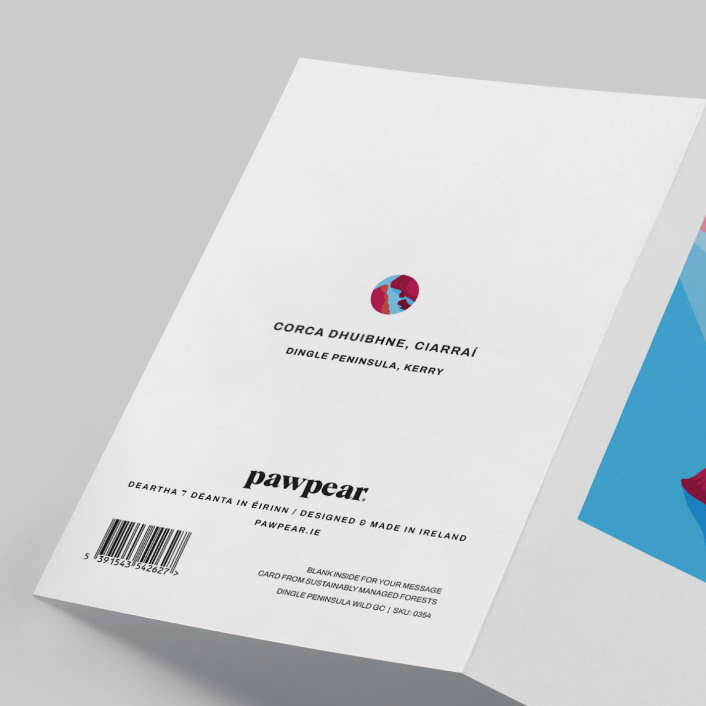 DINGLE PENINSULA WILD