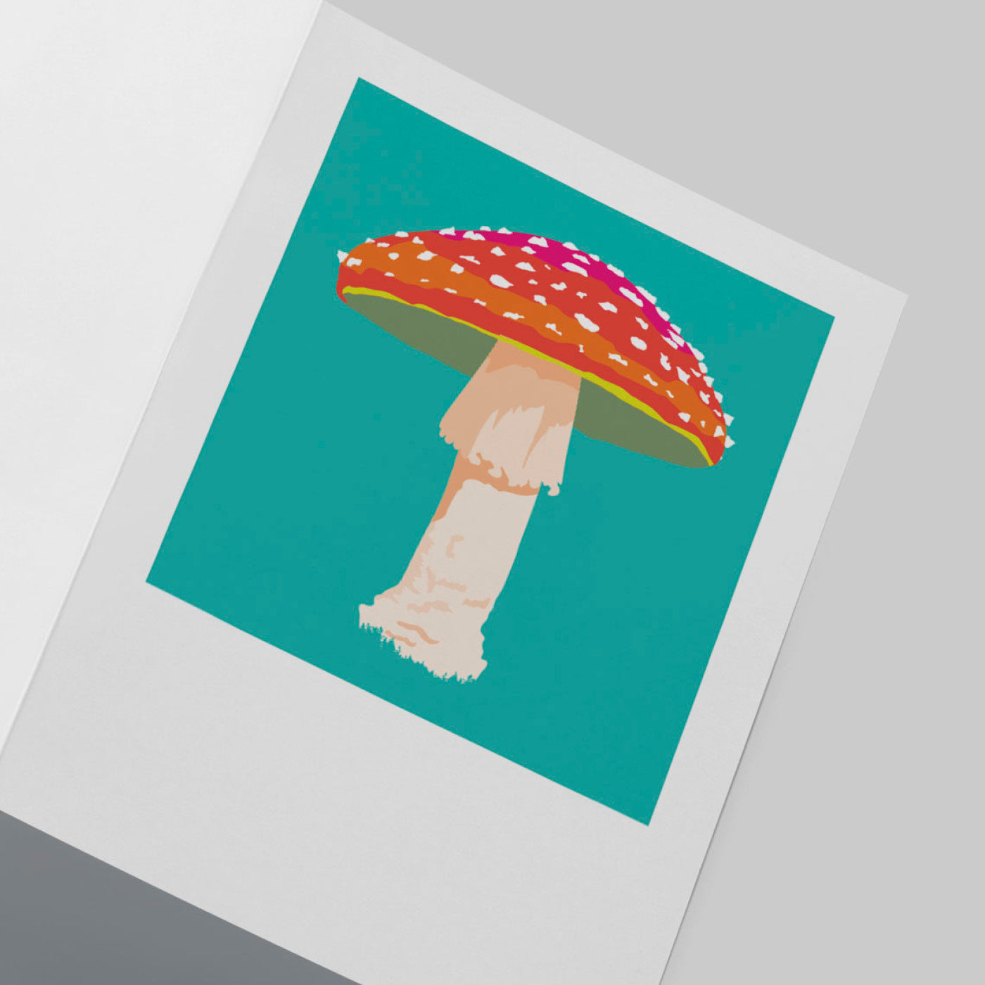 FLY AGARIC