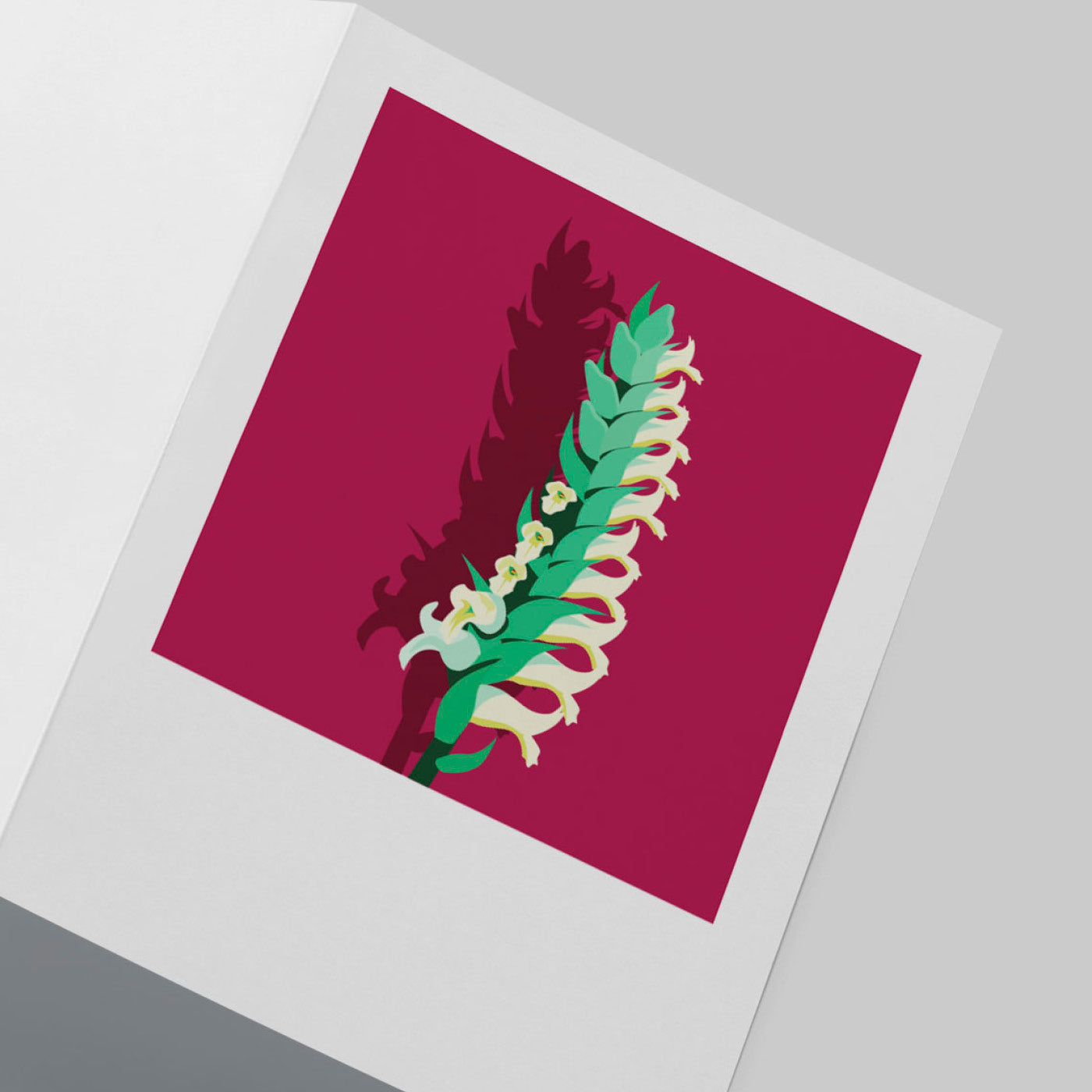 IRISH LADY'S TRESSES