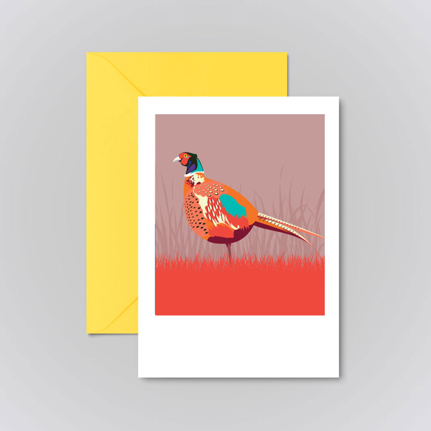 PHEASANT