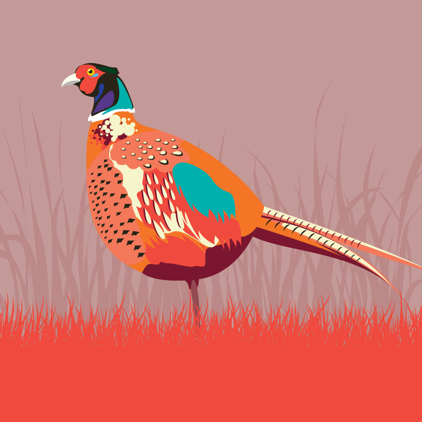 PHEASANT