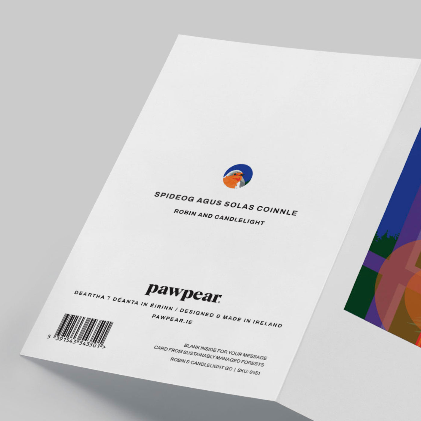 ROBIN AND CANDLELIGHT