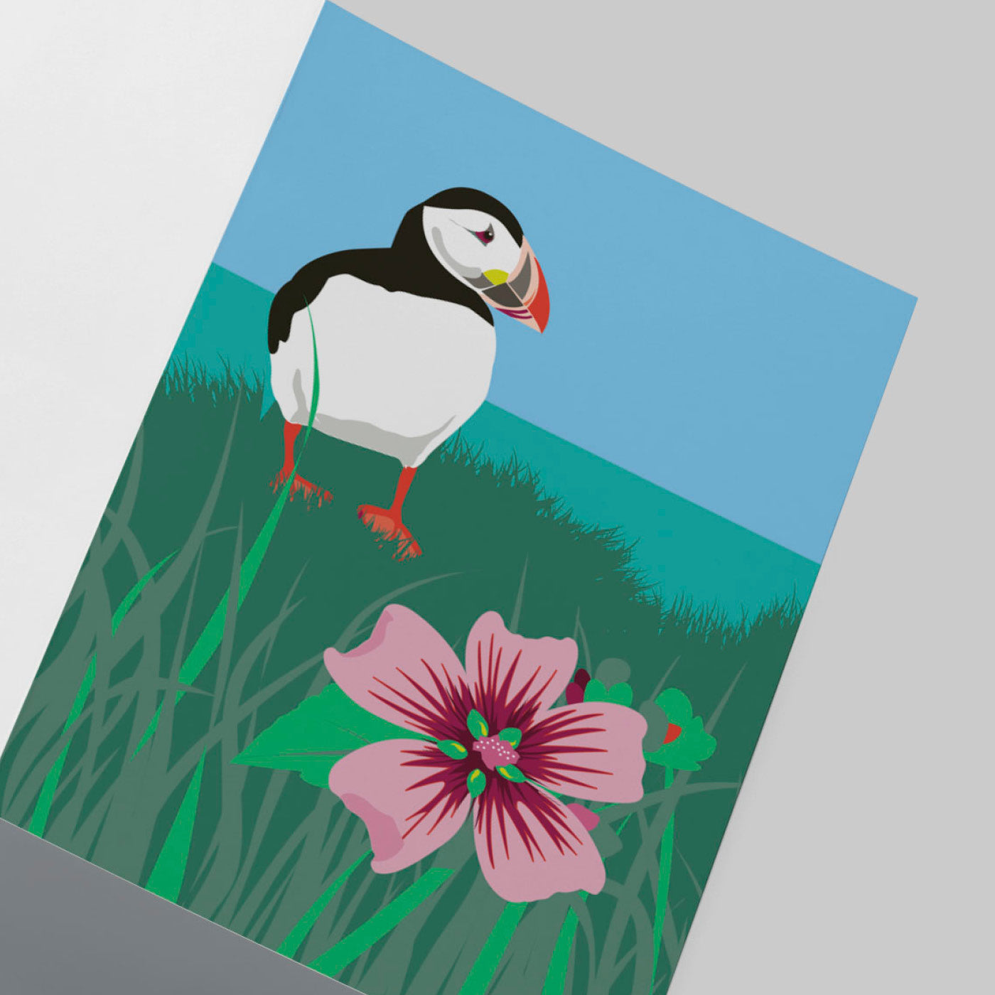 TREE-MALLOW & PUFFIN