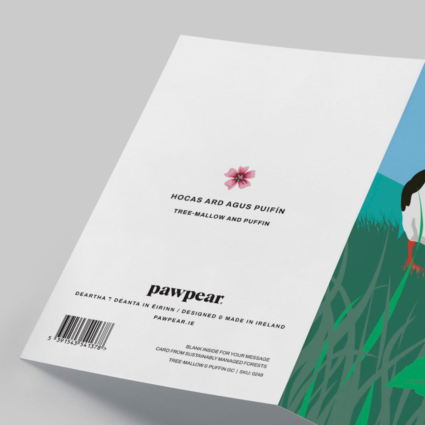 TREE-MALLOW & PUFFIN