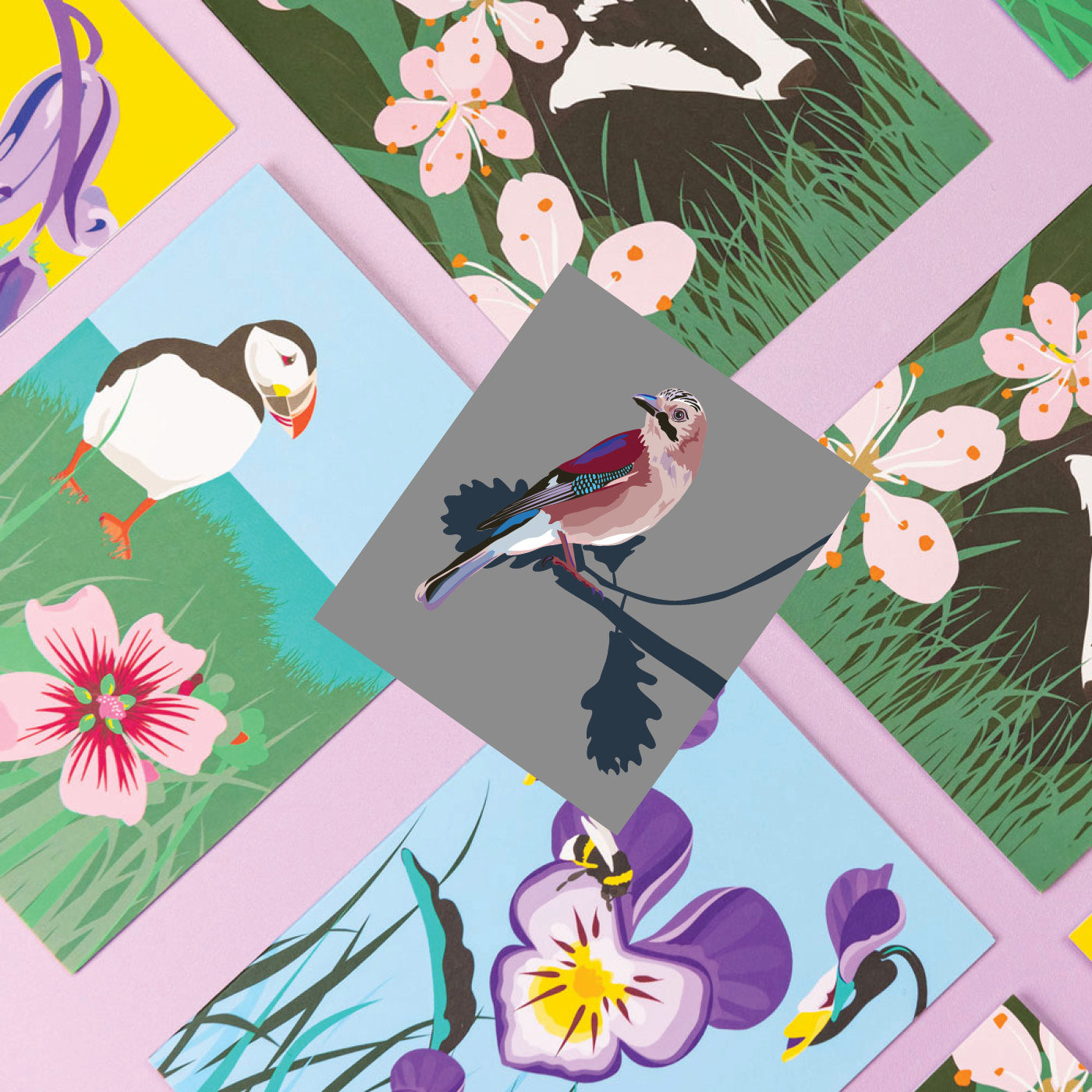 TREE-MALLOW & PUFFIN