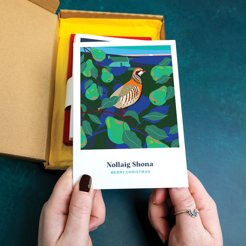 12 DAYS OF CHRISTMAS