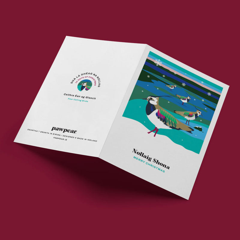 12 DAYS OF CHRISTMAS