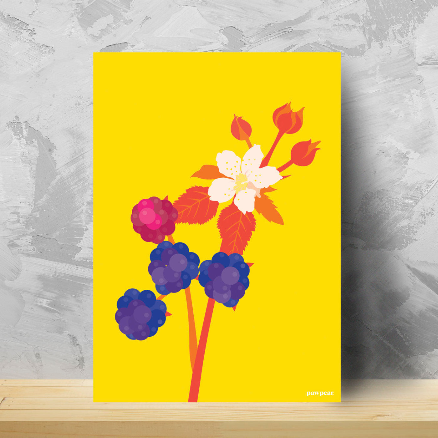 BLACKBERRIES – A4 Print