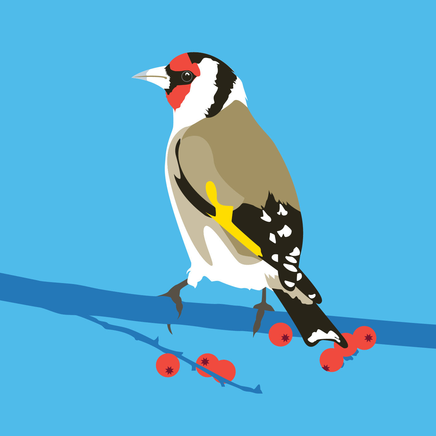 GOLDFINCH
