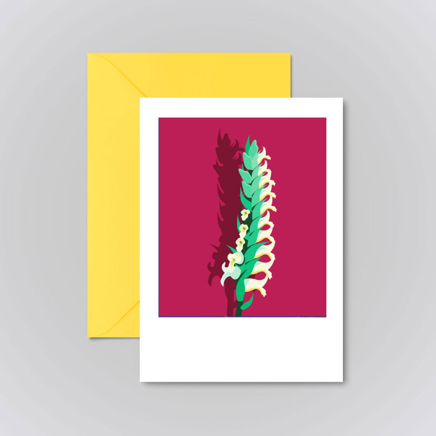 IRISH LADY'S TRESSES