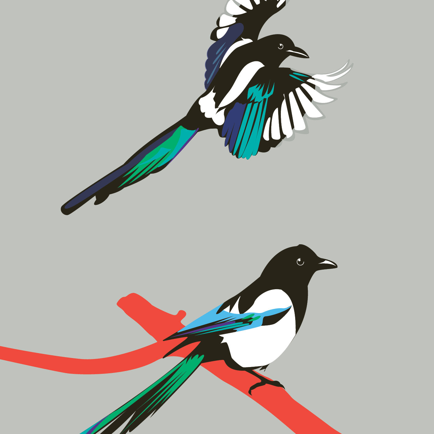 MAGPIE