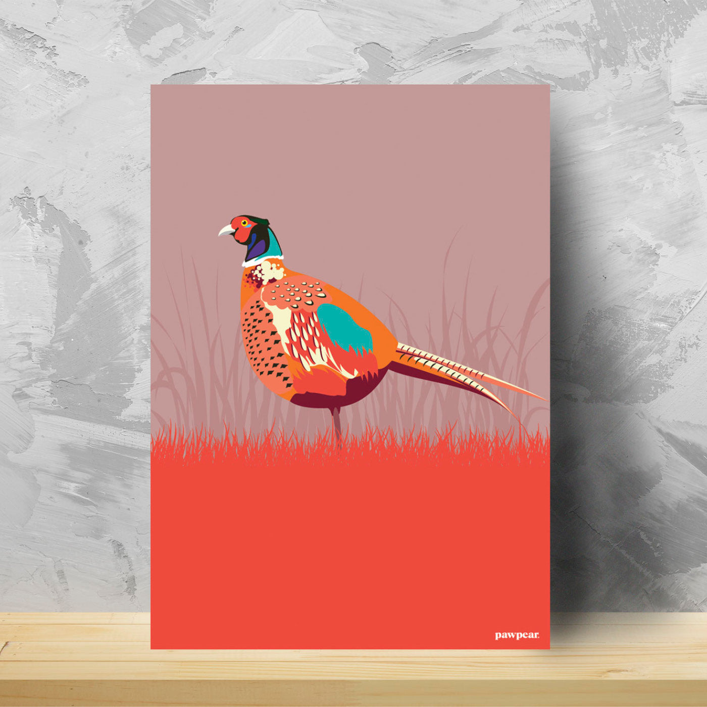 PHEASANT
